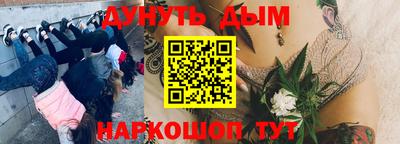 Альфа ПВП Волжск