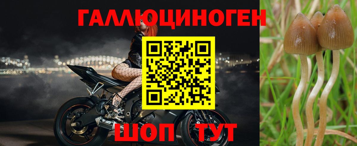 Нарткала  Галлюциногенные грибы GOLDEN TEACHER  Вход с VPN  Галлюциногенные грибы Psilocybine cubensis 